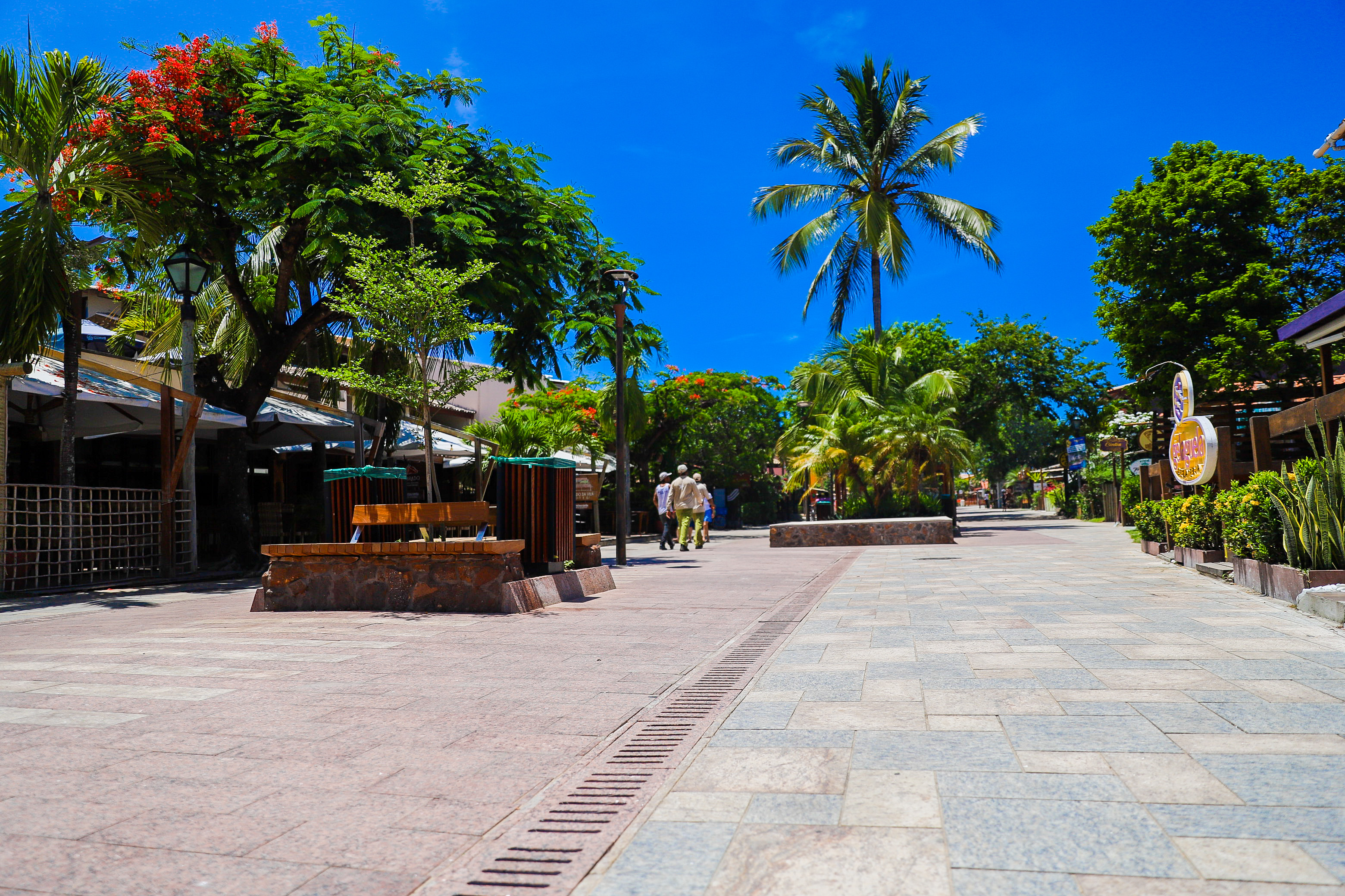 ​Praia do Forte A Seu Gosto