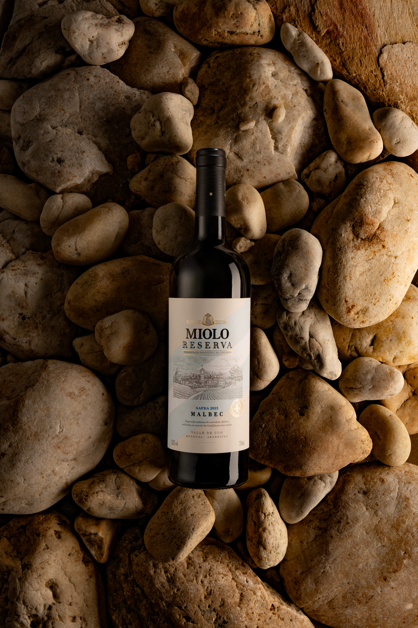 ​Com Malbec de altitude,  Miolo explora seu quinto terroir,  em Mendoza, na Argentina