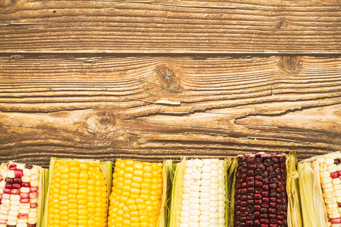 Os diferentes tipos de milho e como utilizá-los em receitas típicas