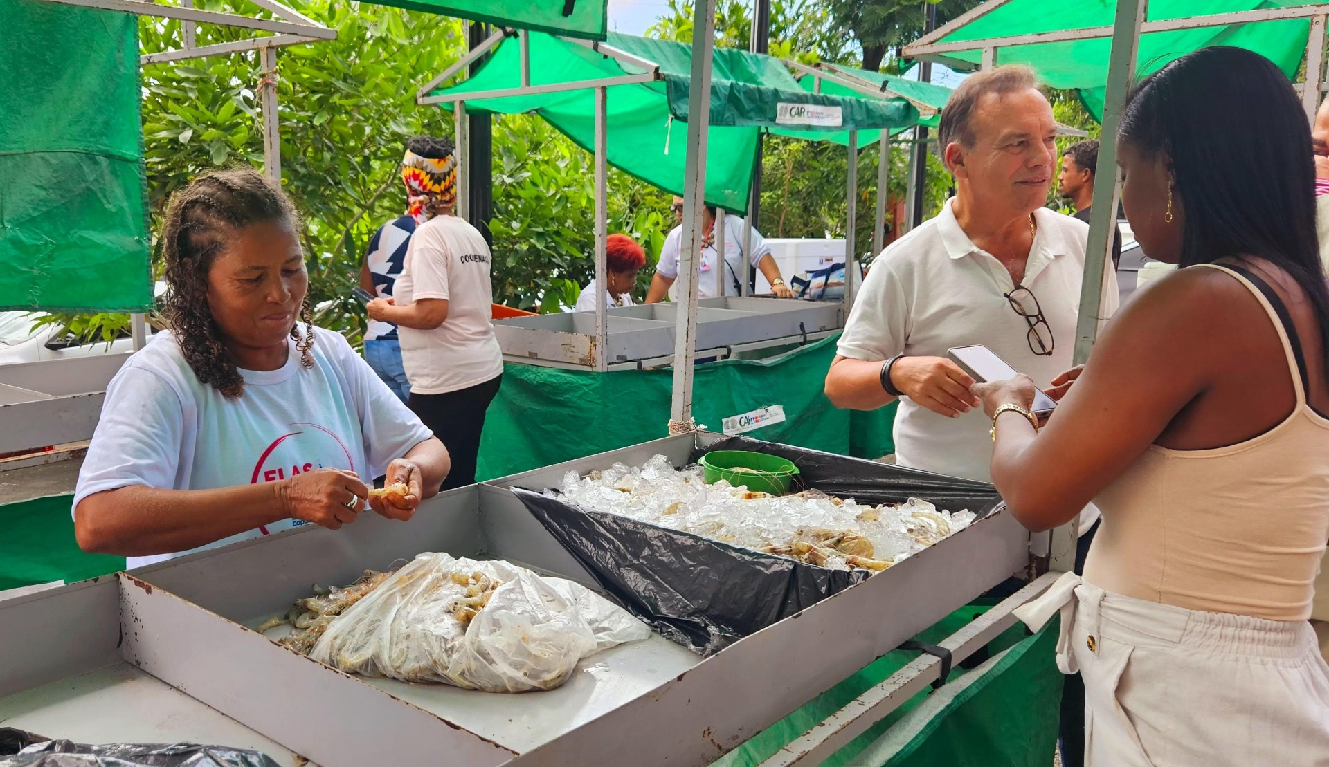 Pescadoras artesanais da Gamboa comercializam mariscos com apoio do projeto Elas à Frente da Pesca
