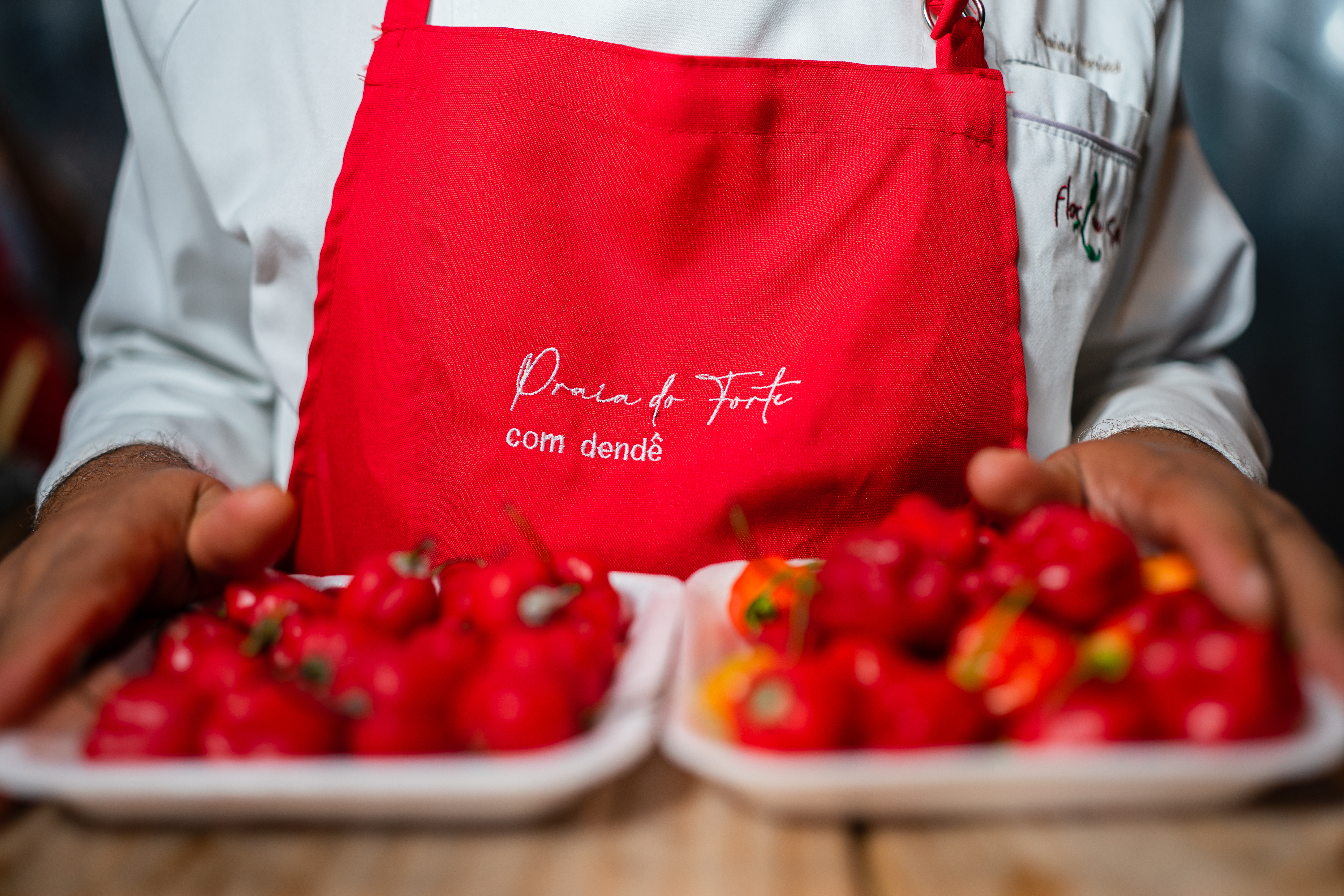 ​Festival Praia do Forte com Dendê movimenta litoral baiano com gastronomia, música e experiências culturais neste fim de semana