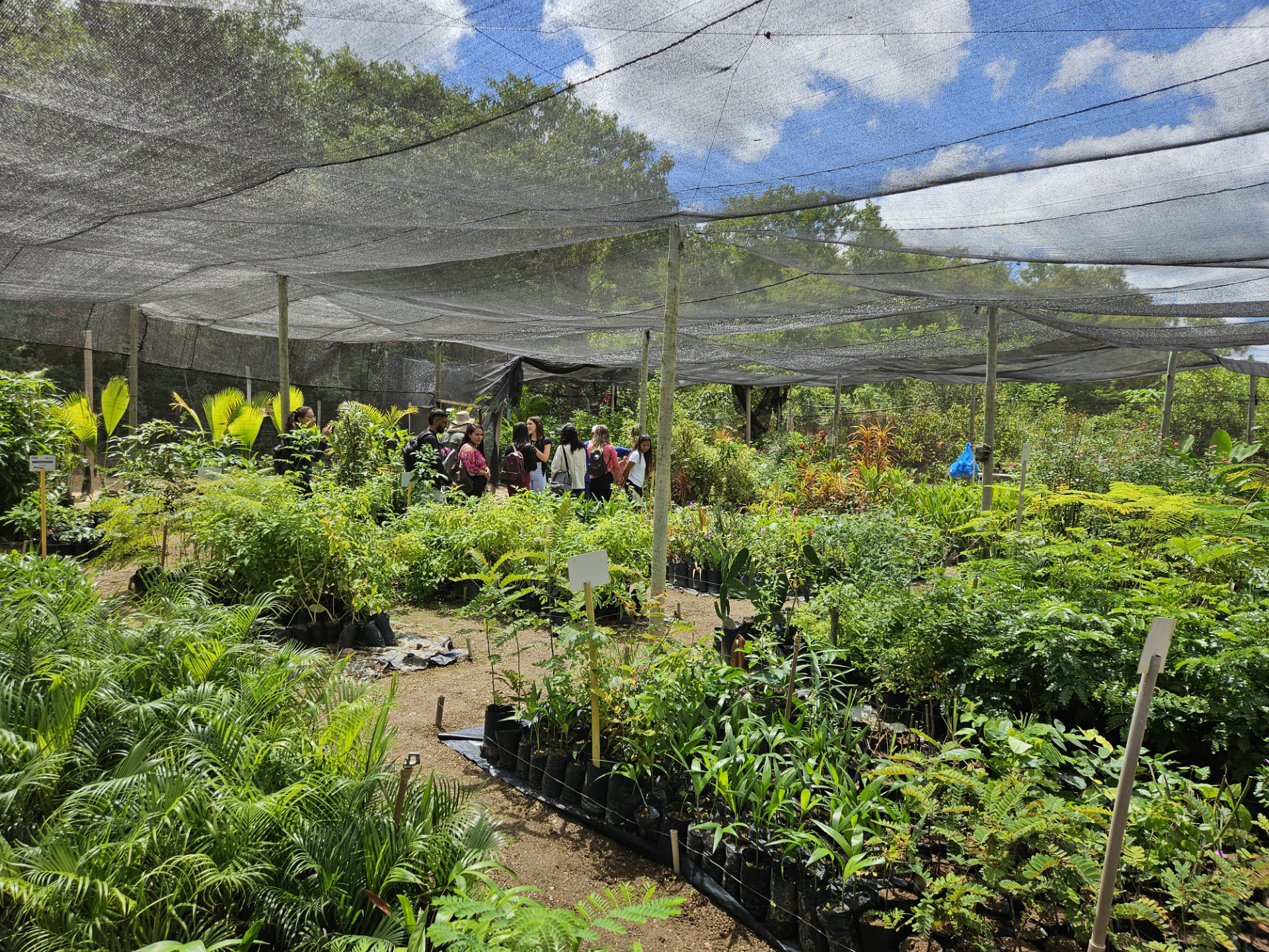 ​Embasa Celebra Marca de 800 Mil Mudas Doadas em 13 Viveiros Educadores Distribuídos pela Bahia