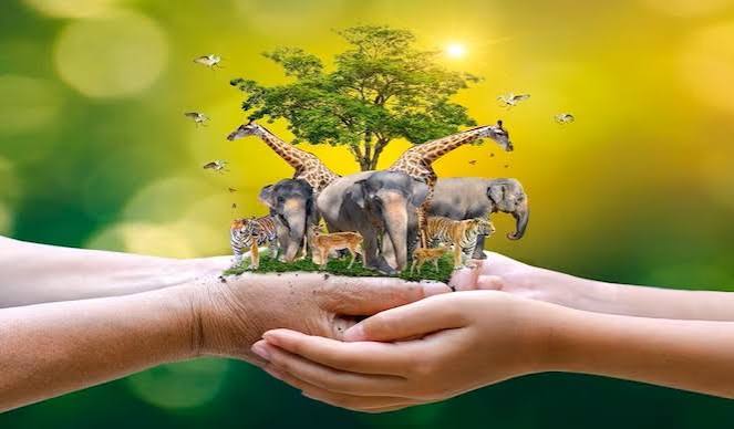 ​Dia Mundial dos Animais: amar também é cuidar