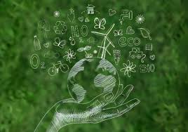 ​Sustentabilidade deixa o discurso e passa a definir investimentos e negócios em 2026