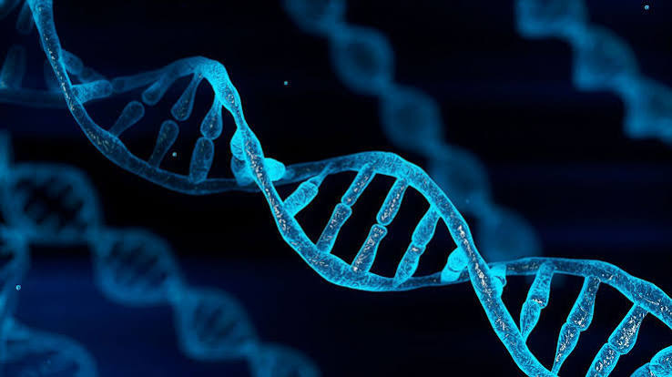 ​Bahia terá 33 pontos para coleta gratuita de DNA de familiares de pessoas desaparecidas