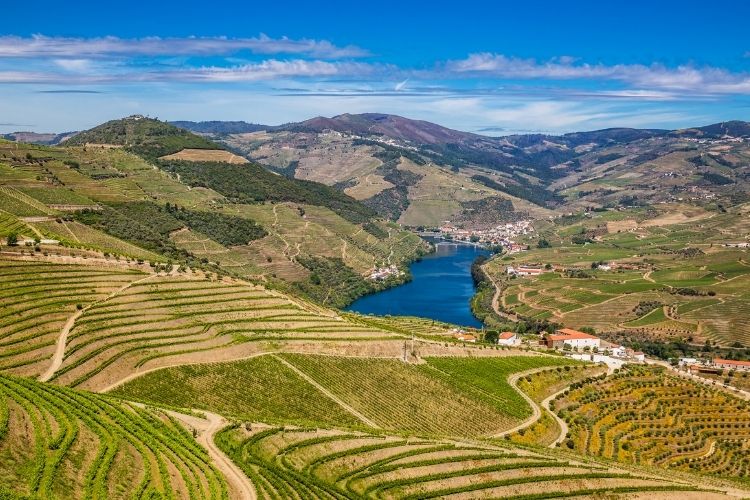 Vale dos Montes reforça ambição de crescimento no coração de Trás-os-Montes, em Portugal