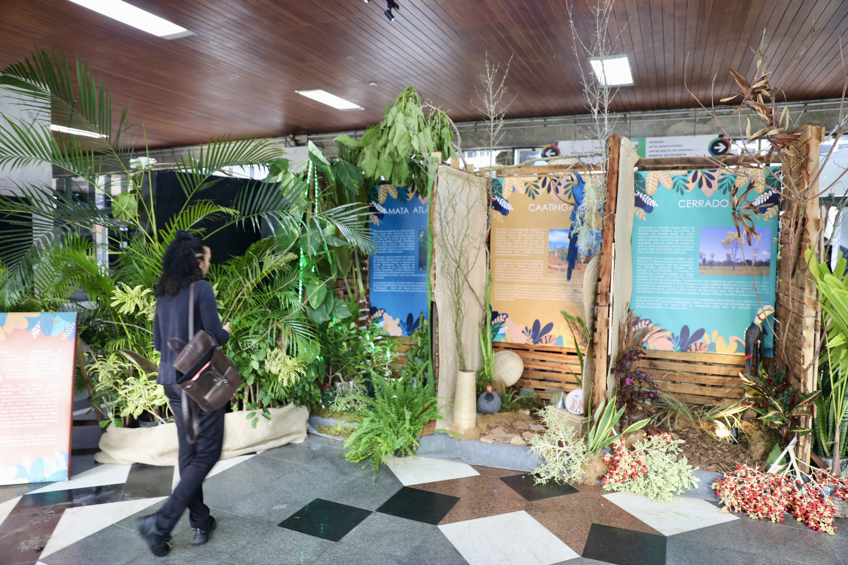 Exposição destaca os biomas da Bahia
