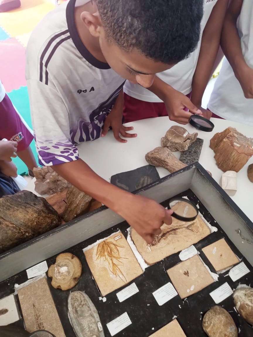 Os seres do passado: projeto da Uesb leva Paleontologia às escolas