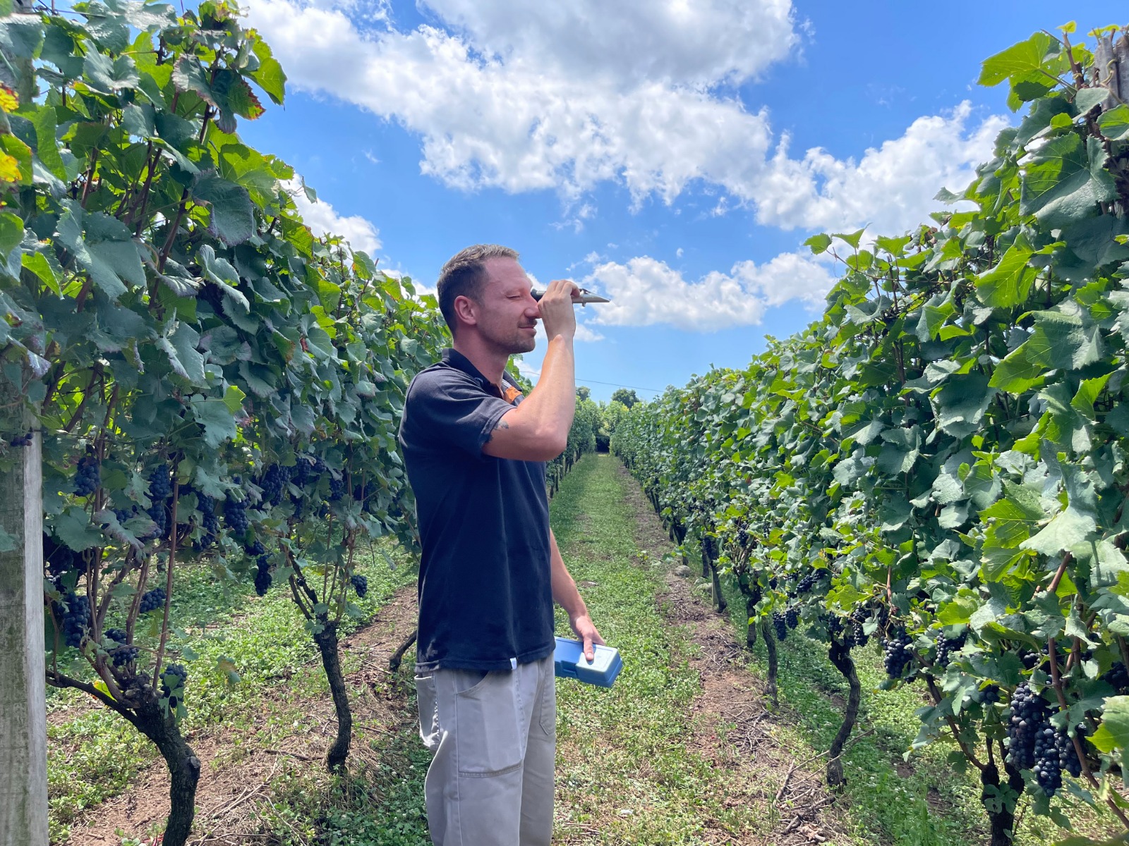 ​Foppa & ambrosi passam a vinificar em estrutura própria e iniciam novo capítulo na safra 2026