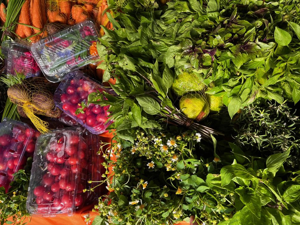 ​Salvador recebe pela primeira vez o ENPEGASTRO e transforma a gastronomia em experiência de encontro, memória e território