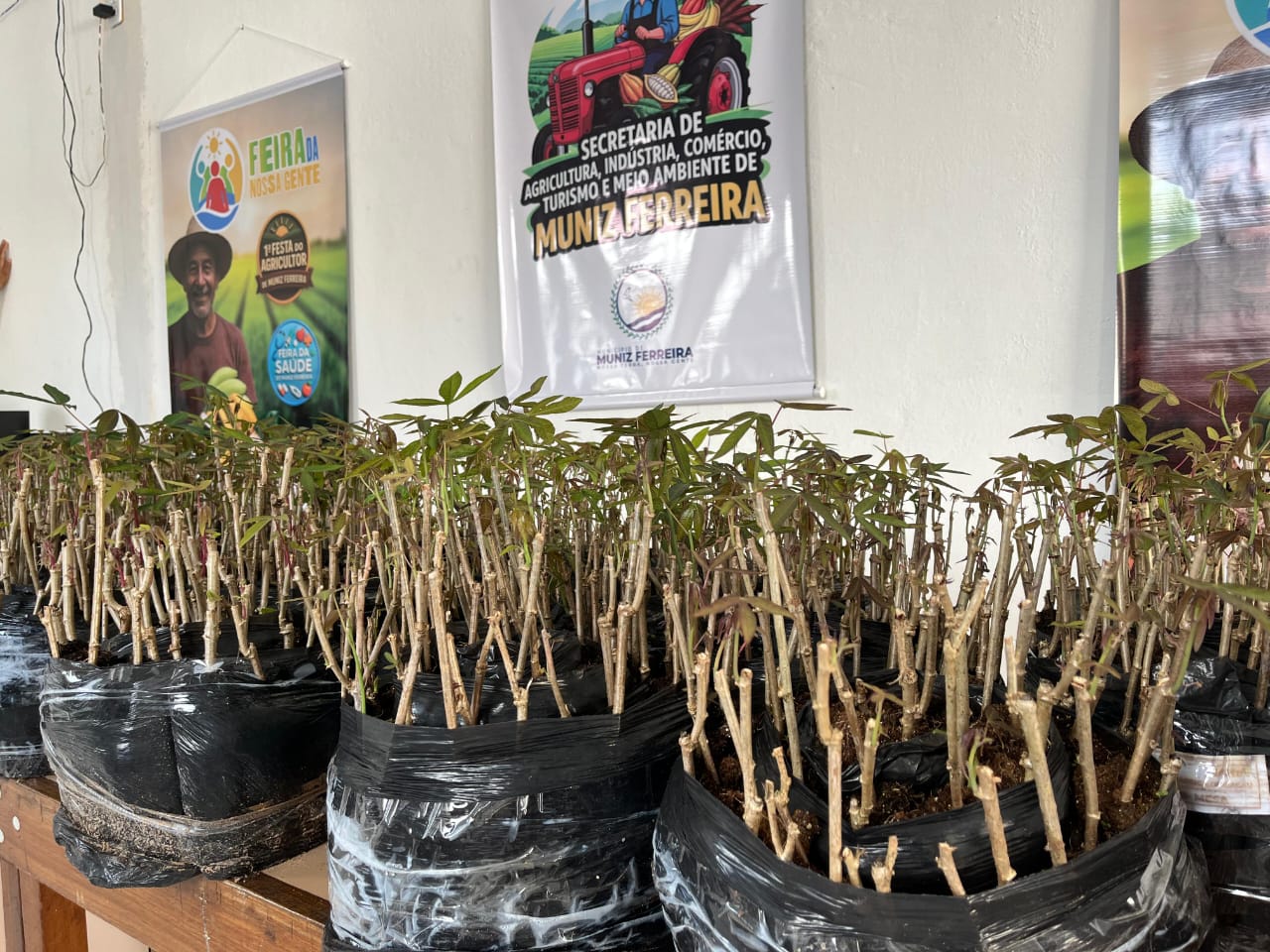 Agricultores de Muniz Ferreira fortalecem produtividade nas lavouras