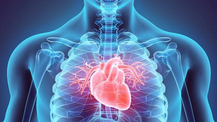 ​Dia Mundial do Coração alerta para sintomas de infarto que podem passar despercebidos