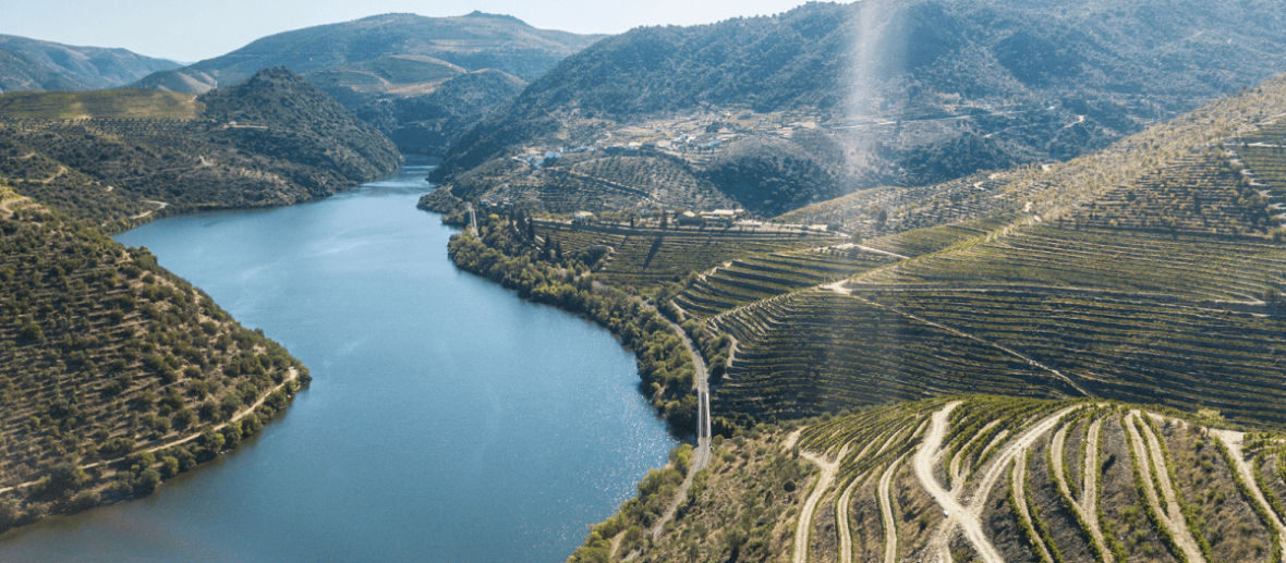 ​Vinho do Porto não combina apenas com sobremesa: conheça três mitos sobre a bebida