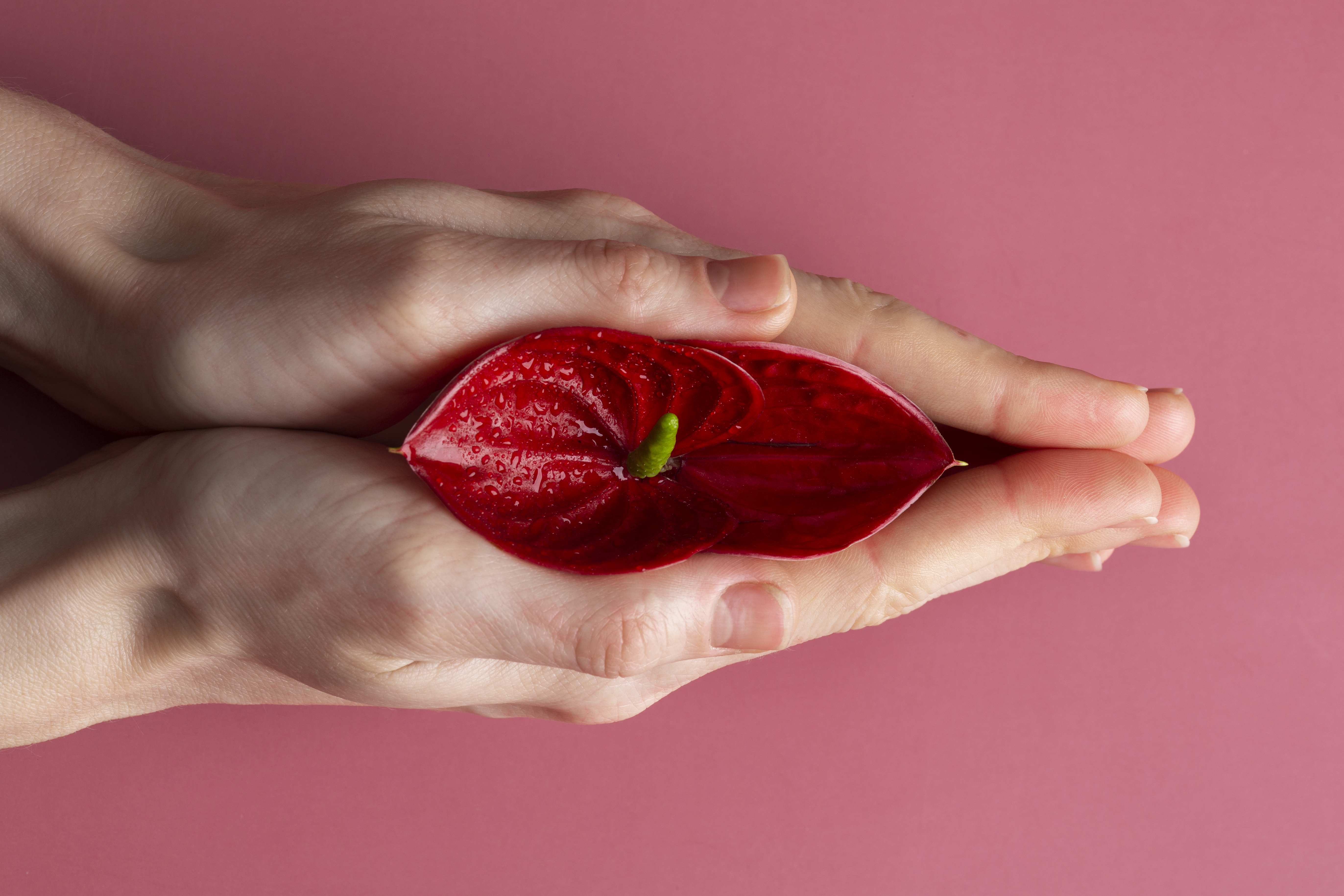 Dia do Sexo: O que você precisa saber sobre a libido feminina