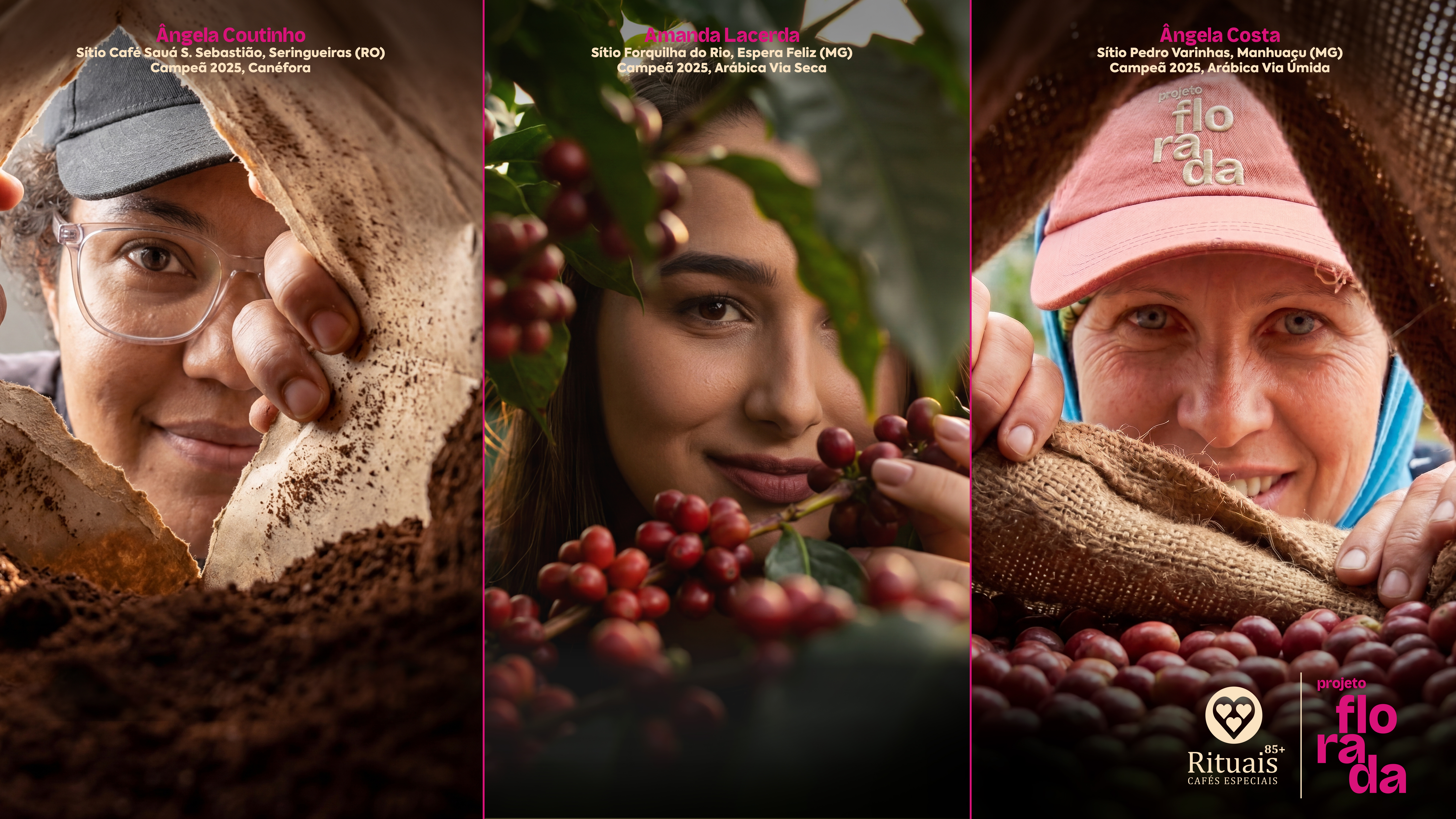 ​Mulheres ganham protagonismo entre os cafés especiais premiados no Brasil