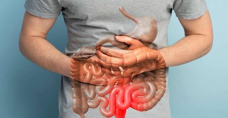 ​Intestino preso: quando o laxante ajuda e quando é preciso procurar um médico