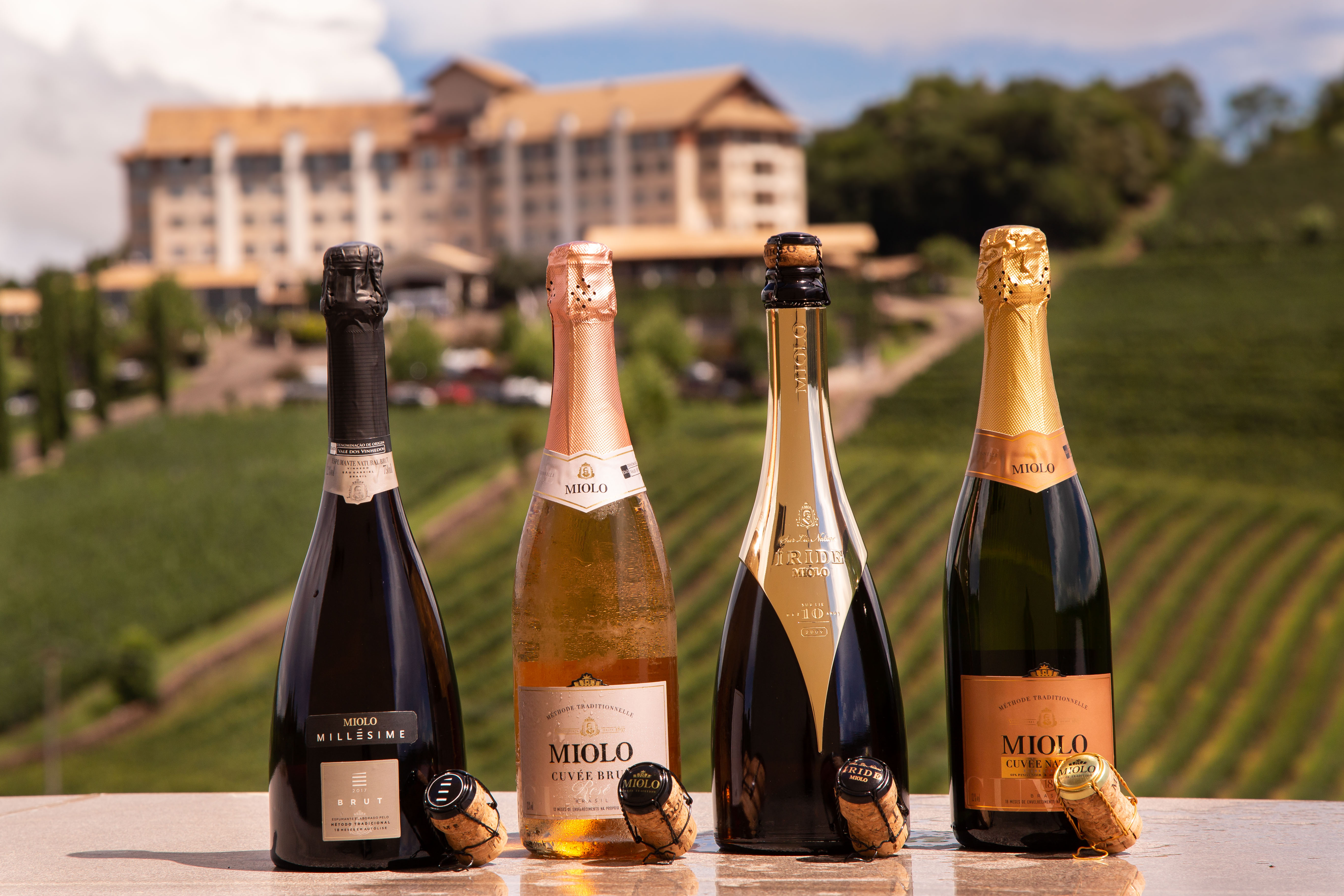 Miolo lança novos rótulos  e realiza masterclass de espumantes na ProWine